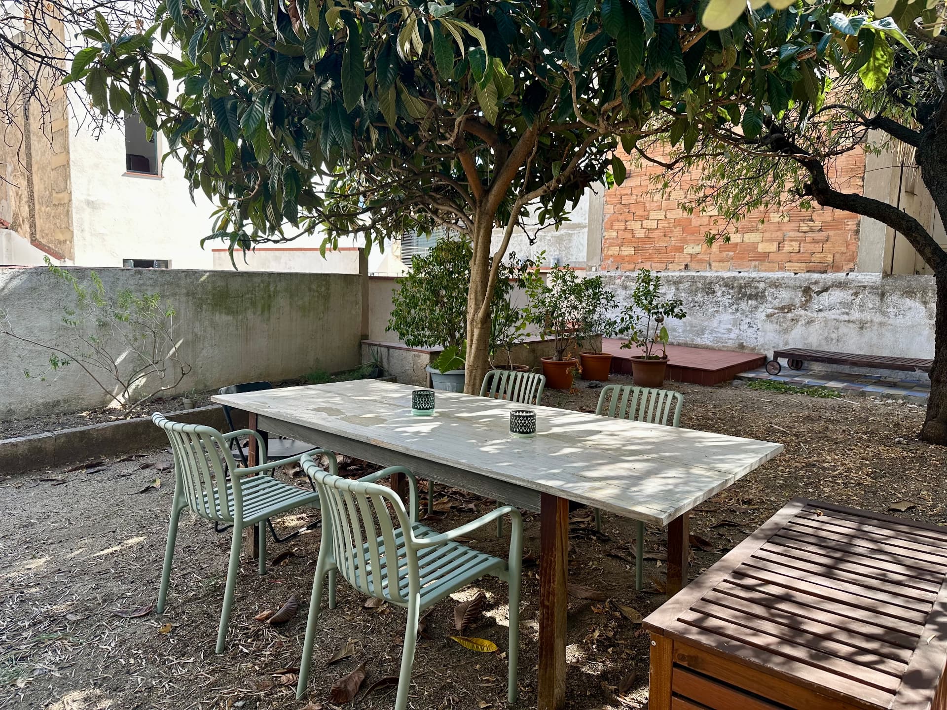 Mesa larga de madera con sillas verdes a la sombra del níspero japonés en el jardín